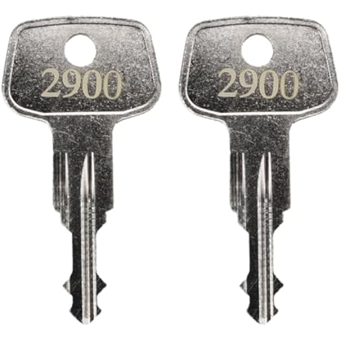 rayihni 2900 X-Cargo Roof Rack Key,XCargo Luggage Roof Key Karrite Ski Bike xcargo Carrier Skyline Sportrack XL,Replacement Keys for Sears XCargo Karrite SportRack Carriers(Code 2900-2 pcs) - Image 1