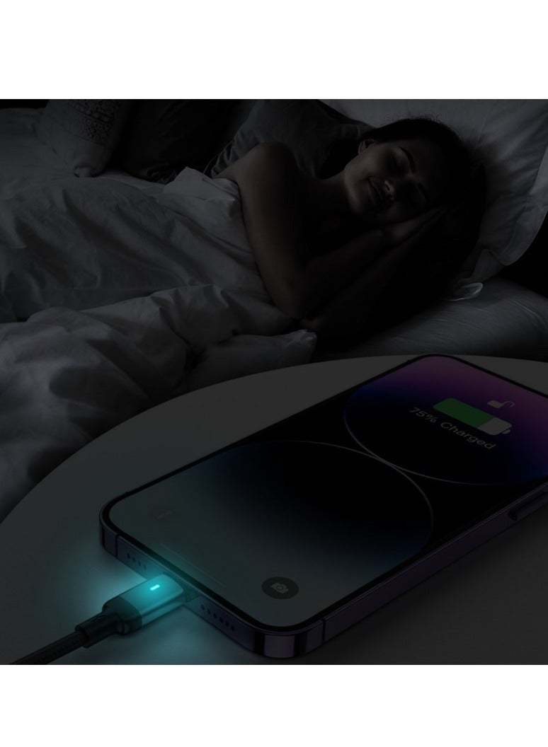جوي روم كابل سلسلة S-A10 من النوع C إلى Lightning - 30 وات - 1.2 متر - - Image 5