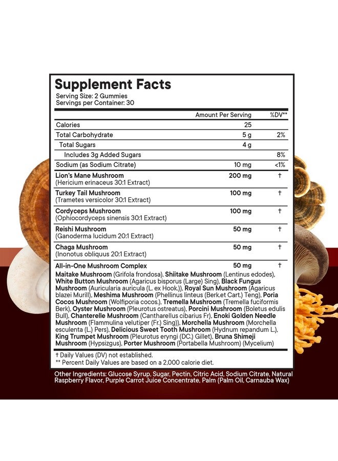 NEW AGE Mushroom Lion's Mane Supplement Gummies - Comprehensive Mushroom Supplement for Cognitive & Immune Support, with Reishi, Cordyceps - 120 Count - Image 3