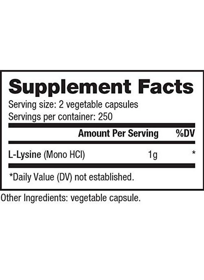 NutraBio Llysine (500Mg) Pure Grade Amino Acid 500 Vegetable Capsules Essential Amino Acid Nongmo Gluten Free Vegan  - Image 3