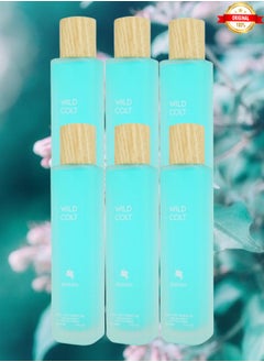 WILD 6 Pieces Wild Colt Perfume 100ML  - Image 1
