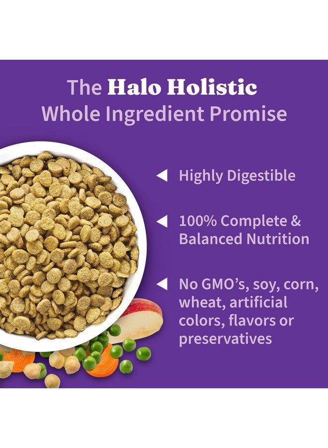 Halo Holistic Vegan Dog Food, Plant-Based Recipe with Kelp, Dry Dog Food, Complete Digestive Health, Kibble for Adult Dogs, 10 lb Bag - Image 4