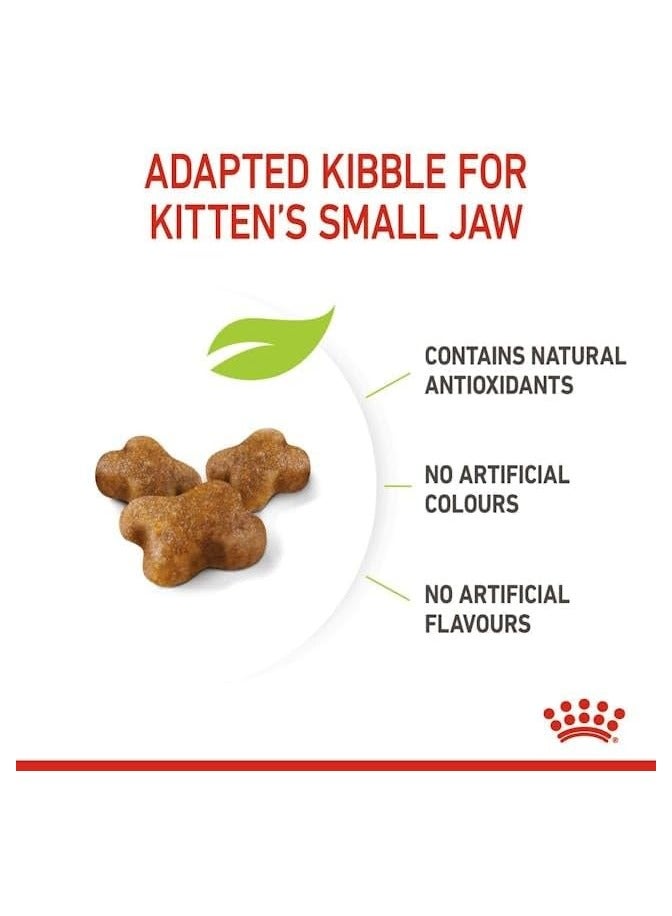 رويال كانين، قطط صغيرة حتى عمر 12 شهرًا 2kg - Image 4