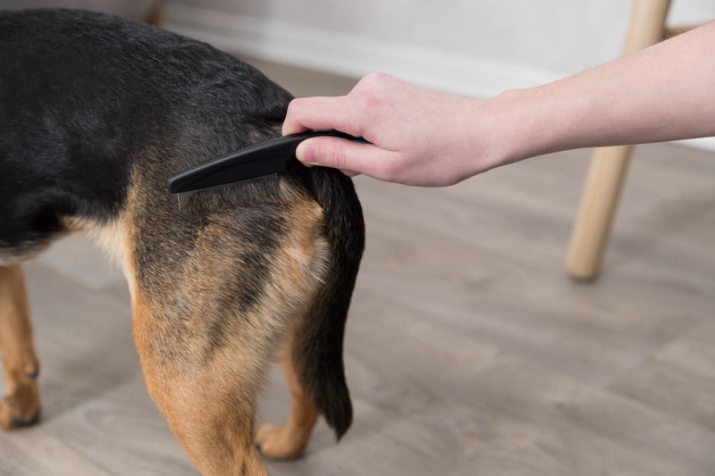 TRIXIE Pet Grooming Flea Comb, For Cats, Dogs, and Small Animals, Removes Fleas, Flea Eggs and Other Debris, 8" (21cm) - Image 4