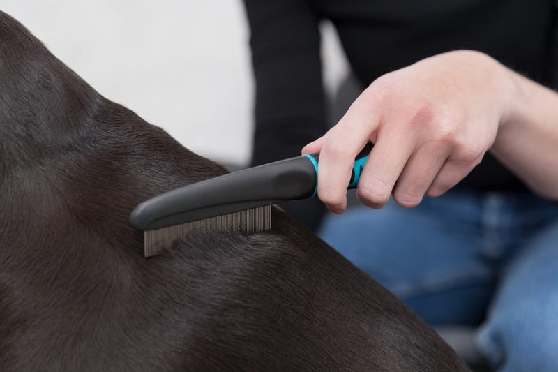 TRIXIE Pet Grooming Flea Comb, For Cats, Dogs, and Small Animals, Removes Fleas, Flea Eggs and Other Debris, 8" (21cm) - Image 5