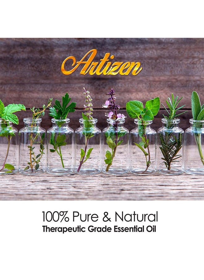 Artizen - 30ml Eucalyptus Essential Oil (100% Pure & Natural - Undiluted) - 1 Fluid Ounce - Therapeutic Grade Eucalyptus Essential Oils - Essential Eucalyptus Oil for Sauna, Aromatherapy & More - Image 1