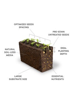 Veritable Veritable® Lingots® Collection Sweet Basil - Organic - Essential aromatic herbs Organic Seeds - Made in France  - Image 2