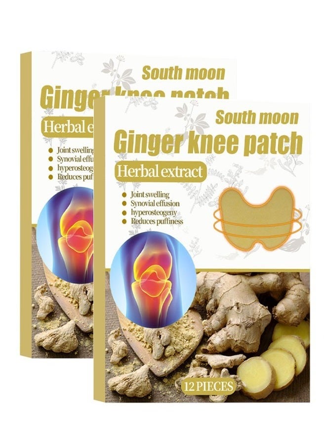 Arabest Ginger Knee Patch Pain Relief Warming Plaster Arthritis Pain Patches Heat Patches for Knee Pain Relief and Inflammation Long Lasting Relief of Joint Pains, 24 Pieces  - Image 1