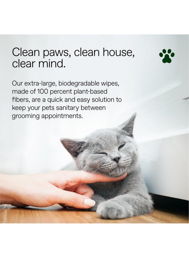 ألو ALŌH مضاد للحساسية | طبيعي بالكامل | مناديل متعددة الاستخدامات للحيوانات الأليفة، غير معطرة، ٥٠ منديلًا | ٣ عبوات من ٥٠ منديلًا (١٥٠ منديلًا) - Image 5