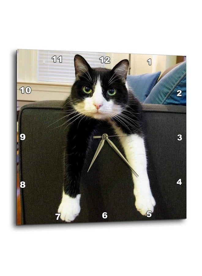 3DROSE - Llc Black And White Cat With Nothing To Do 10 By 10Inch Wall Clock - Image 1