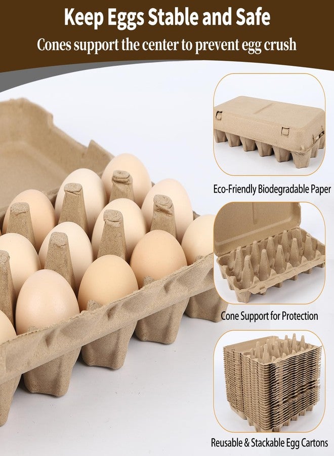DecarDamai 30 Pack Egg Cartons 18 Count - 3x6 Grids Egg Cartons for Fresh Eggs, Sturdy Cardboard Eggs Storage Containers for Household, Kitchen, Farm, Market - Image 4