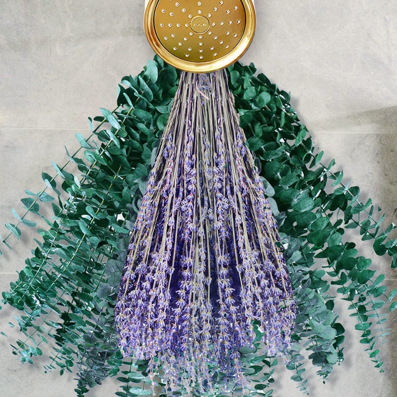 FUKUOKA 180Pcs Extra Large Package Dried Eucalyptus Stems  Lavenders Bundle for Shower 17 Natural Real Live Fresh Eucalyptus Leaves Greenery  Aromatic Lavender Shower Hanging Plant Vase Flowers Decor