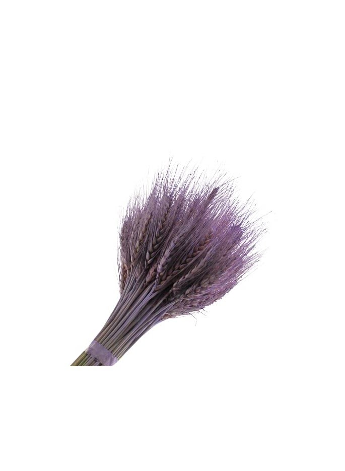 Generic Natural Dried Wheat Grass Bundle Artificial Wheat Dried Flower ( OLD lavender 100)  - Image 2