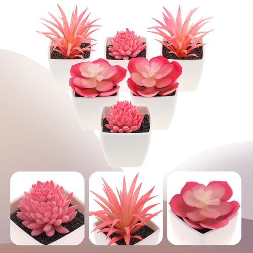 Woration 6Pcs Mini Artificial Succulent Plants Fake Plastic Succulents Potted for Garden Office Home Desk Decorations Floral Arrangement Craft- White Pots - Image 4
