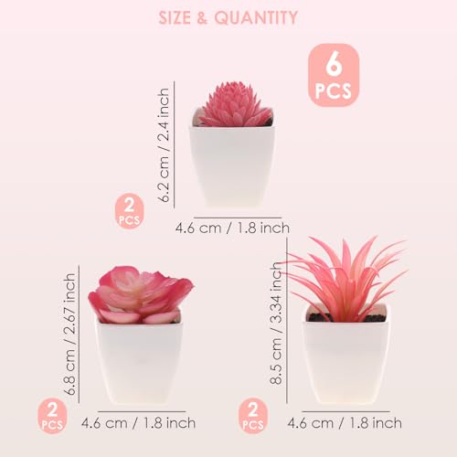 Woration 6Pcs Mini Artificial Succulent Plants Fake Plastic Succulents Potted for Garden Office Home Desk Decorations Floral Arrangement Craft- White Pots - Image 3