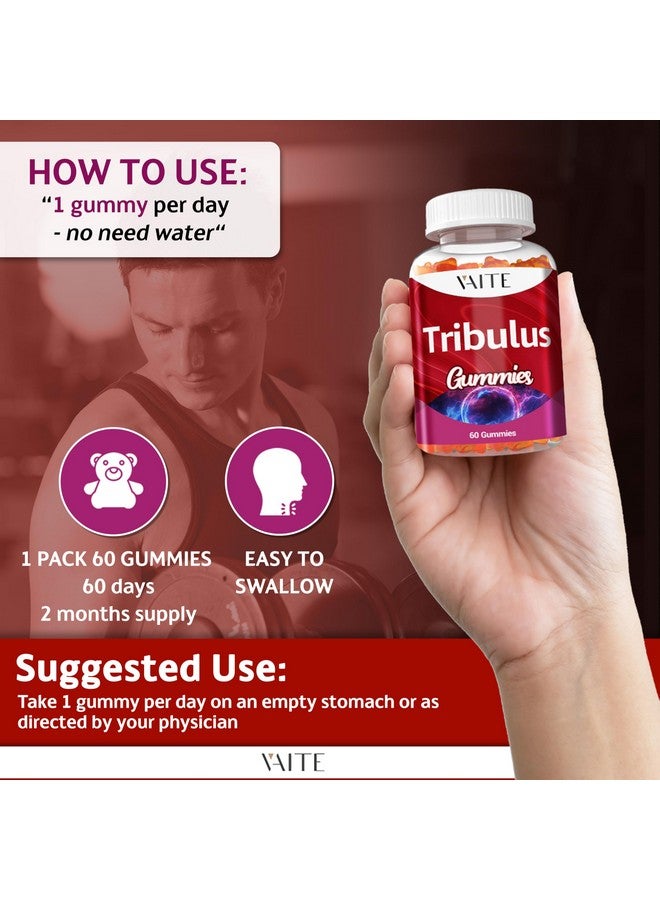 VAITE جومي تريبيولوس تيرستريس 1000 ملغ - 60 جومي قابلة للمضغ - نباتي، خالي من السكر، خالي من الجلوتين، غير معدل وراثيًا - تركيبة يومية نباتية - لا حاجة للماء - شكل مكمل سهل الاستخدام - Image 4