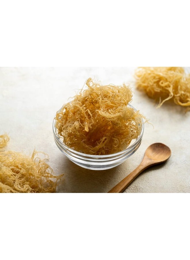 Antler Farms - 100% Pure Sea Moss Complex 130 Capsules Organic & Wildcrafted Irish Sea Moss Bladderwrack Burdock Root Vegan Gluten Soy And Dairy Free - Image 1
