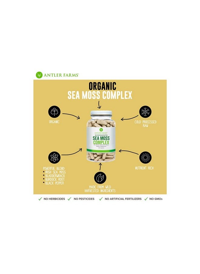 Antler Farms - 100% Pure Sea Moss Complex 130 Capsules Organic & Wildcrafted Irish Sea Moss Bladderwrack Burdock Root Vegan Gluten Soy And Dairy Free - Image 1