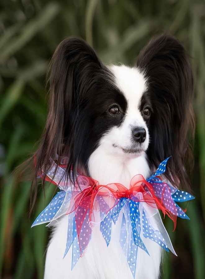Midlee Medium Patriotic Dots 4th of July Dog Collar - Image 5