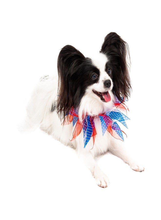 Midlee Medium Patriotic Dots 4th of July Dog Collar - Image 3