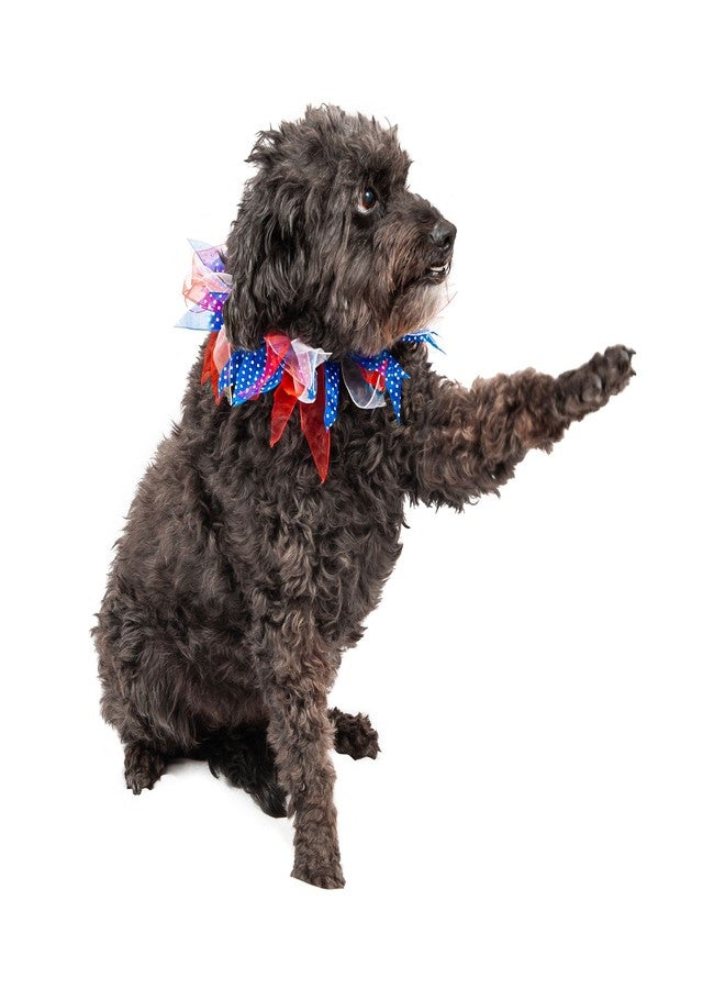 Midlee Medium Patriotic Dots 4th of July Dog Collar - Image 2