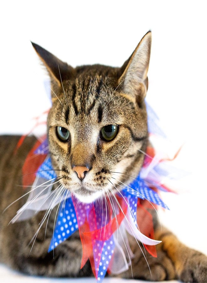 Midlee Medium Patriotic Dots 4th of July Dog Collar - Image 4