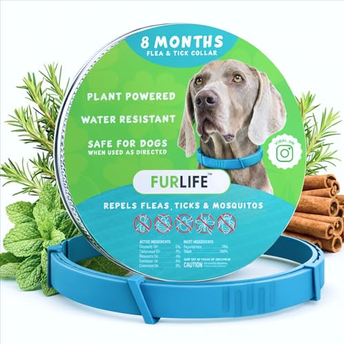 FurLife Flea and Tick Collar for Dogs Waterproof Blue Dog Collar Pet Supplies for Tick and Flea Prevention for Dogs Safe for All Breeds - Image 1