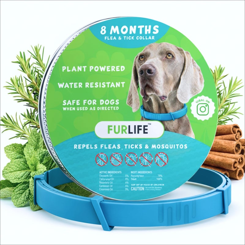 FurLife Flea and Tick Collar for Dogs Waterproof Blue Dog Collar Pet Supplies for Tick and Flea Prevention for Dogs Safe for All Breeds - Image 2