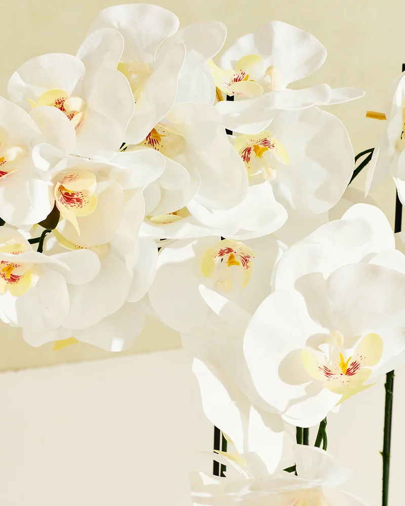REDTAG White Orchid in Gold Ceramic