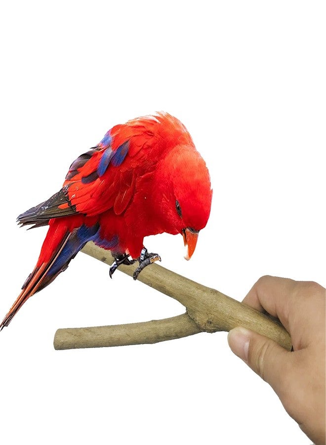 Allazone 10 PCS Natural Wood Bird Perch Stand, Bird Parrot Perch Stand Set, Wooden Parrot Perch Stand Perch Platform Cage Accessories for Parrotlets Cockatiels Budgies Parakeets - Image 4