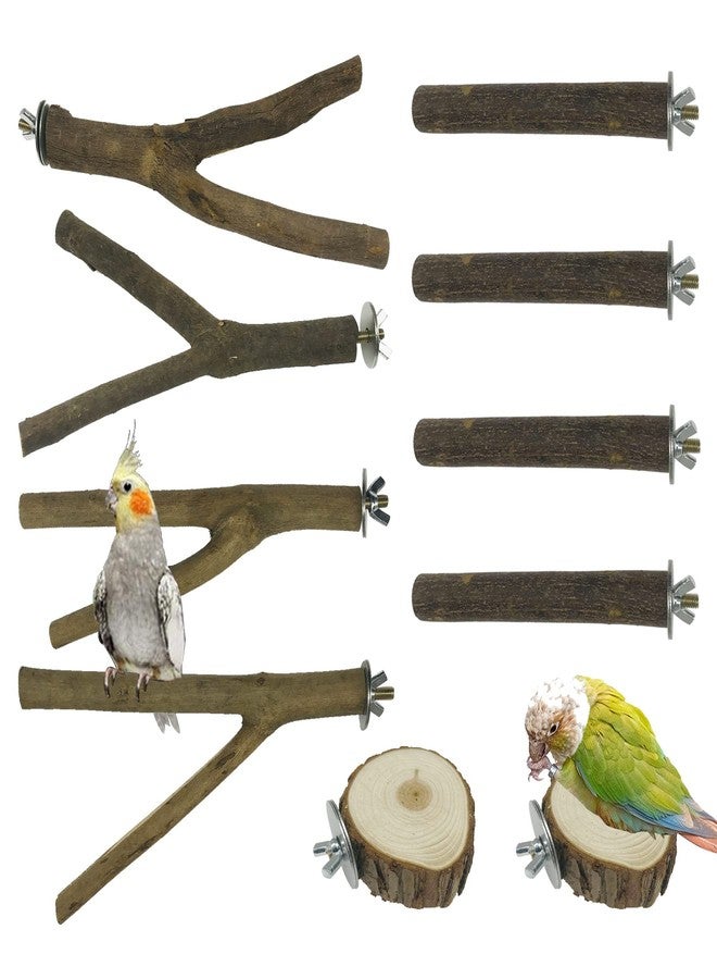 Allazone 10 PCS Natural Wood Bird Perch Stand, Bird Parrot Perch Stand Set, Wooden Parrot Perch Stand Perch Platform Cage Accessories for Parrotlets Cockatiels Budgies Parakeets - Image 1