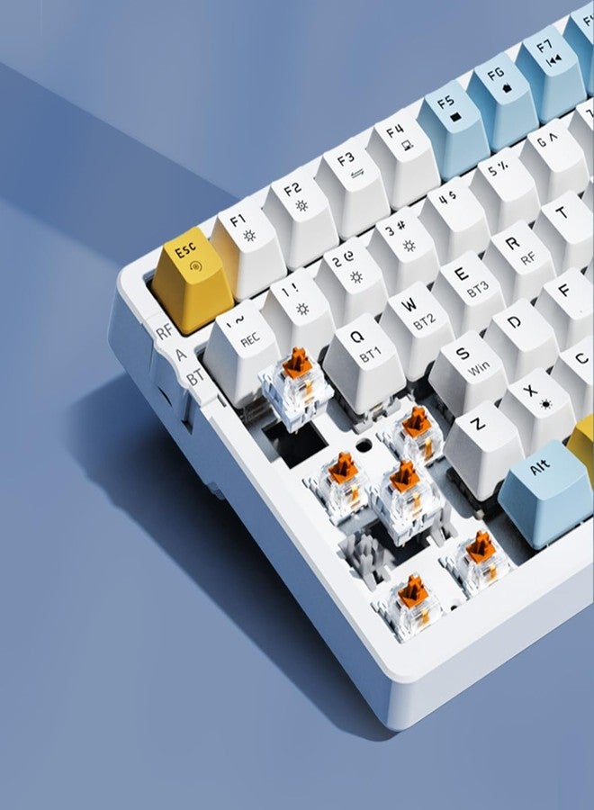 Merdia Wireless Mechanical Keyboard, Triple Mode 2.4G/USB-C/BT Gaming Keyboards 100 Keys Ice-Blue Backlit Brown Switch Keyboard | Rechargeable Mechanical Gaming Keyboards | Ice Blue/W/Y - Image 4