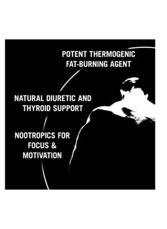 UNIVERSAL NUTRITION Universal Nutrition Animal Advanced Cuts All in one Complete Fat Burner Supplement 42 Packs  - Image 5