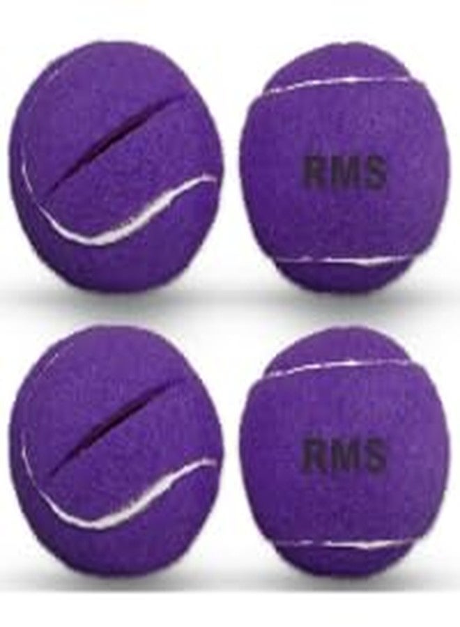 RMS Walker Glide Balls - A Set of 4 Balls with Precut Opening (Purple) - Image 1