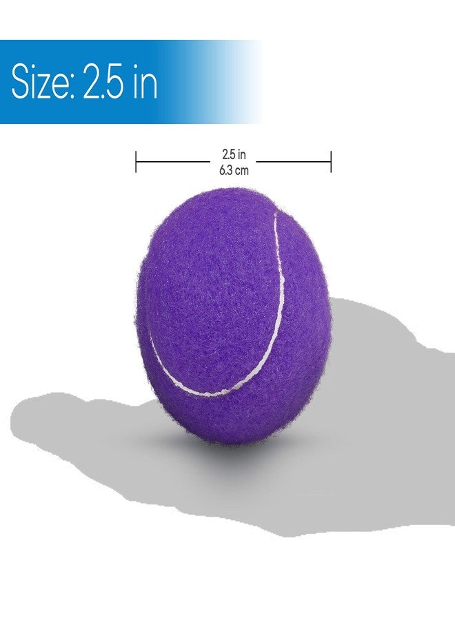 RMS Walker Glide Balls - A Set of 4 Balls with Precut Opening (Purple) - Image 5