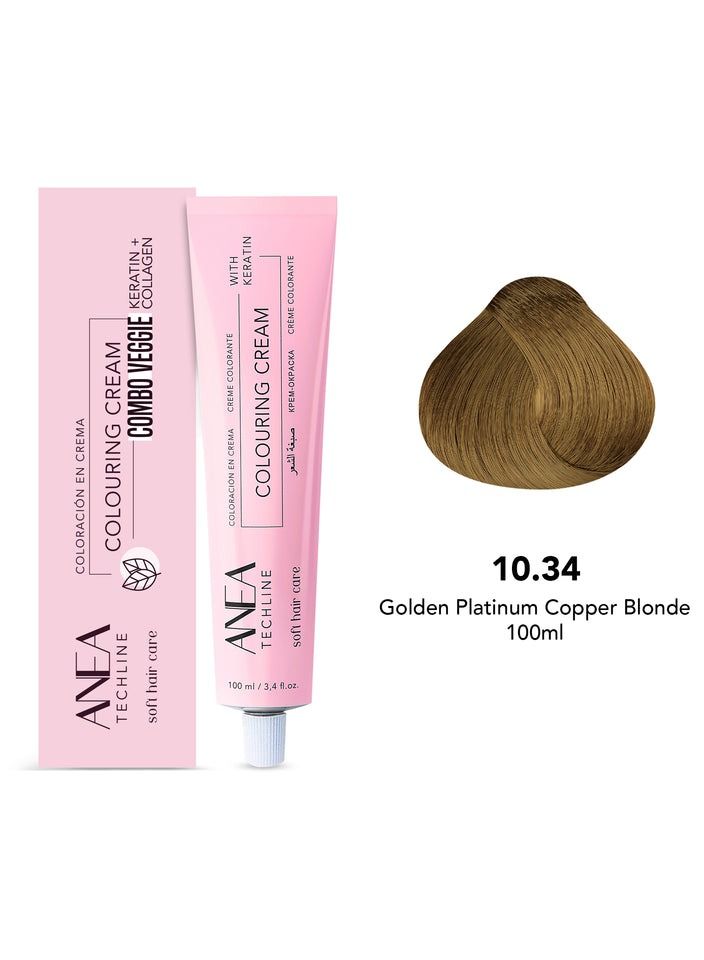 ANEA TECHLINE Anea Colouring Cream 100ml 10.34 Golden Platinum Copper Blonde