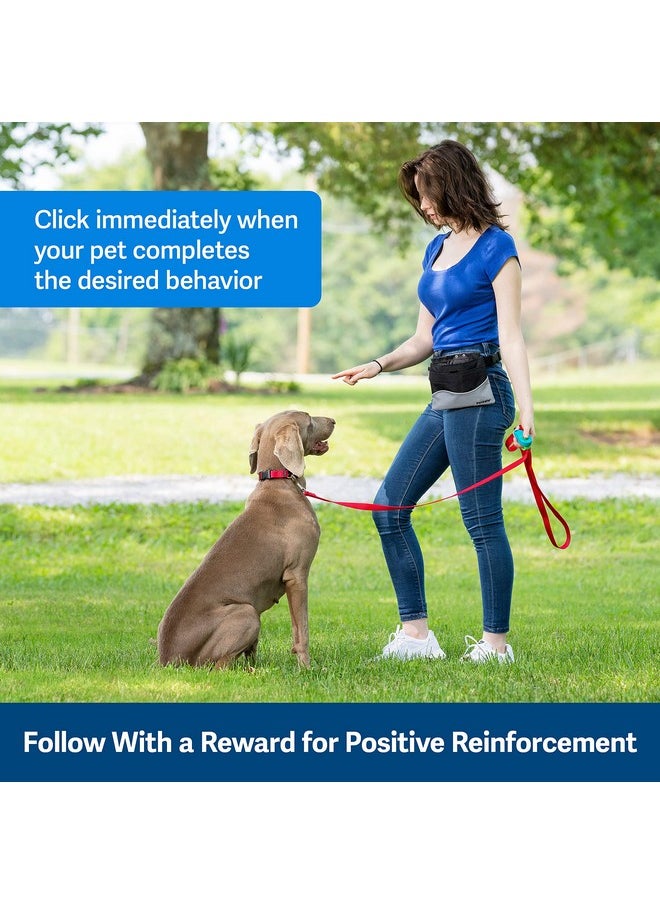 بيت سيف جهاز تدريب الكلاب PetSafe Clik-R - مُعزز للسلوك الإيجابي للحيوانات الأليفة - جميع الأعمار، الجراء والكلاب البالغة - يُستخدم للمكافأة والتدريب - دليل تدريب مُرفق - أزرق مخضر  - Image 3