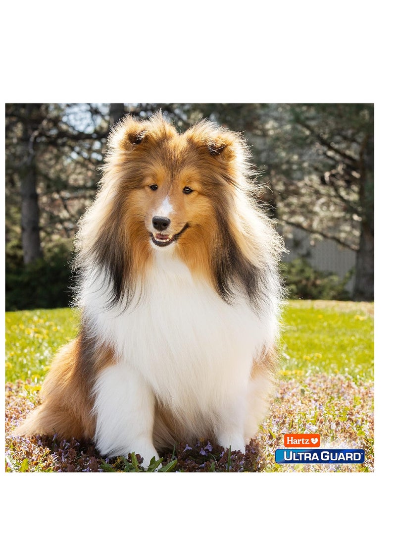 Hartz UltraGuard Rid Flea & Tick Oatmeal Dog Shampoo, Model:3270002305