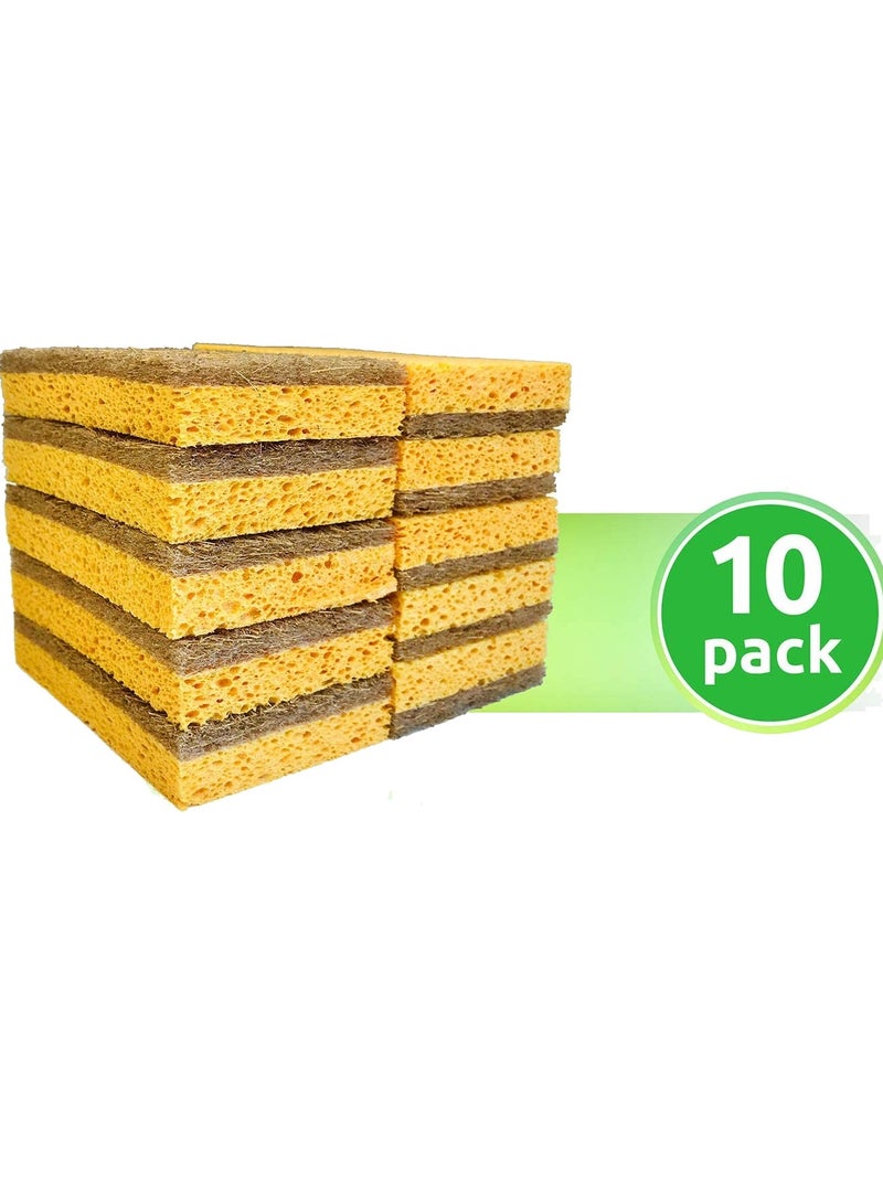 KASTWAVE Natural Kitchen Sponges 10 Pack Plant Cleaning Pan Sponges - Image 1