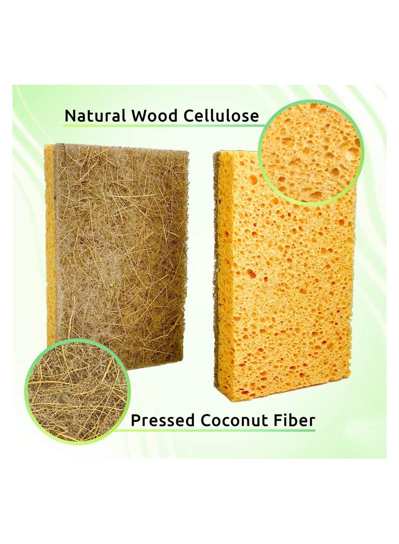 KASTWAVE Natural Kitchen Sponges 10 Pack Plant Cleaning Pan Sponges - Image 3