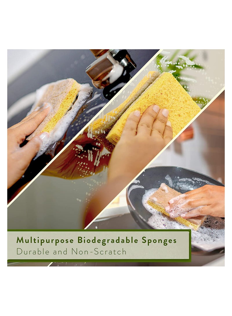 KASTWAVE Natural Kitchen Sponges 10 Pack Plant Cleaning Pan Sponges - Image 5