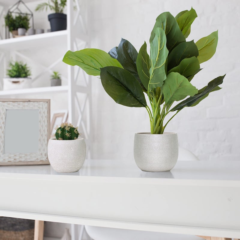 Olly & Rose Barcelona Ceramic Plant Pot Set 2 - White Flower Pots - Indoor & Outdoor Planters (White) - Image 3