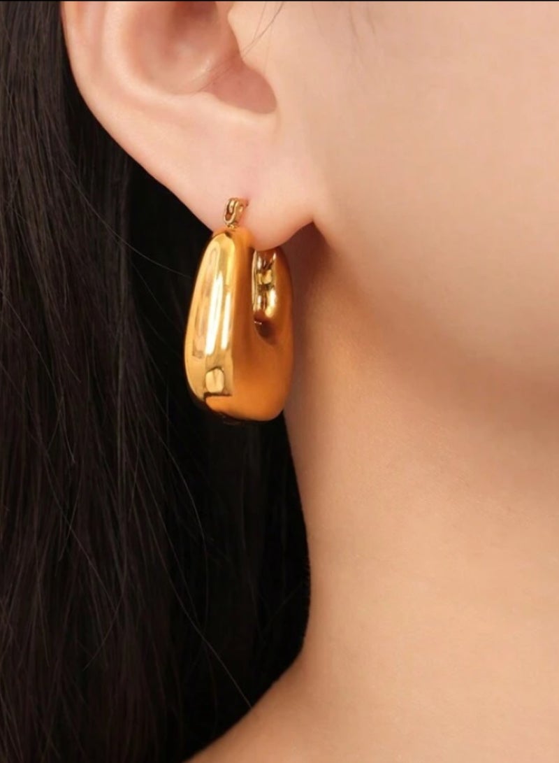 Casual collection Elegant Gold Plated Earrings For Women - Image 1