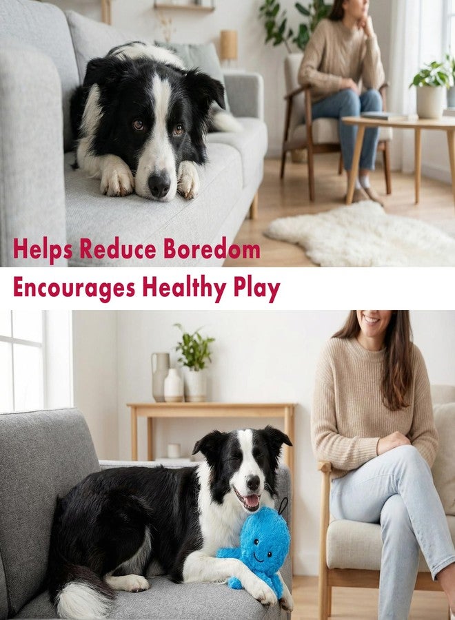 Pet Lou لعبة كرة الأخطبوط القطيفة من بيت لو، مقاس 4 بوصات، سهلة الضغط، لعبة قطيفة بدون حشو، ذات قلب من مادة TPR محكمة، لعبة ارتدادية وعائمة للكلاب الصغيرة والمتوسطة الحجم - Image 4