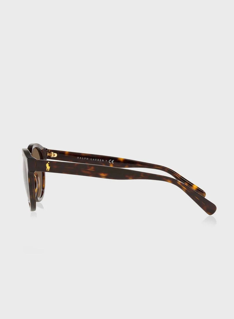 POLO RALPH LAUREN 0Ph4184 Wayfarers Sunglasses