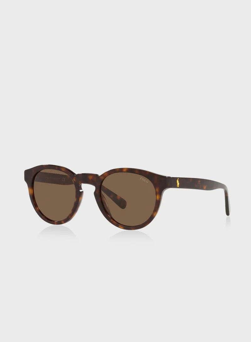 POLO RALPH LAUREN 0Ph4184 Wayfarers Sunglasses