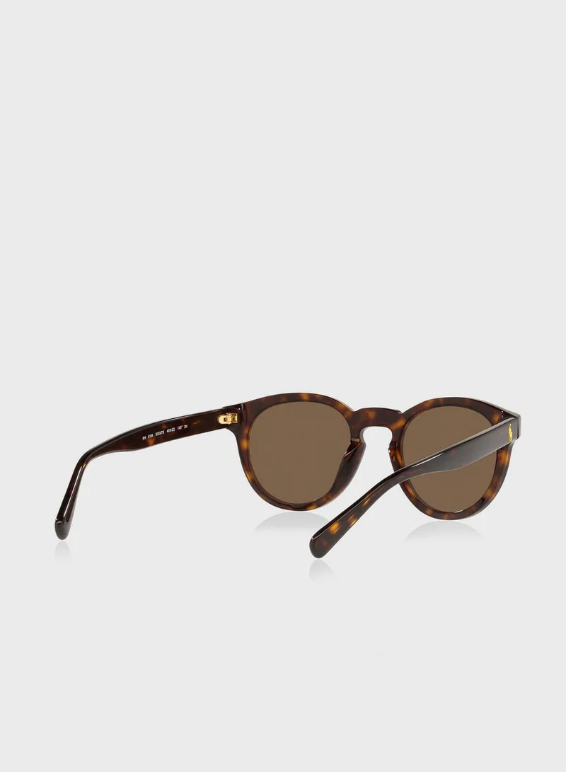 POLO RALPH LAUREN 0Ph4184 Wayfarers Sunglasses