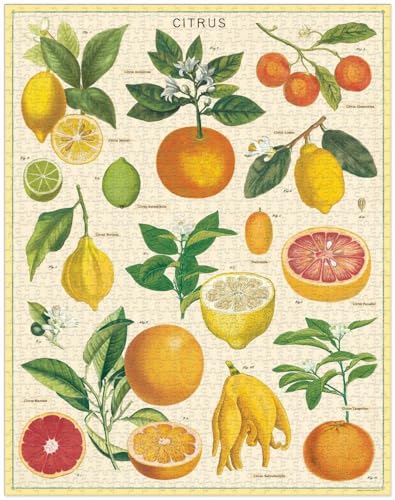 CAVANILLI & CO. Cavallini 1000 Piece Puzzle, Citrus (PZL/Citrus) - Image 2
