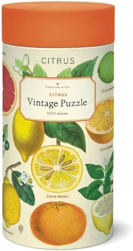 CAVANILLI & CO. Cavallini 1000 Piece Puzzle, Citrus (PZL/Citrus) - Image 3