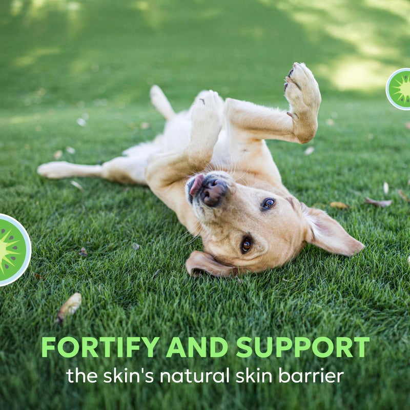 Nutramax Laboratories Nutramax Dermaquin Skin Support Supplement for Large Dogs, Supports Healthy Response to Allergens, with Hardy Kiwi, Omega-3s, and More, Tasty Soft Chews, 60 Count - Image 4